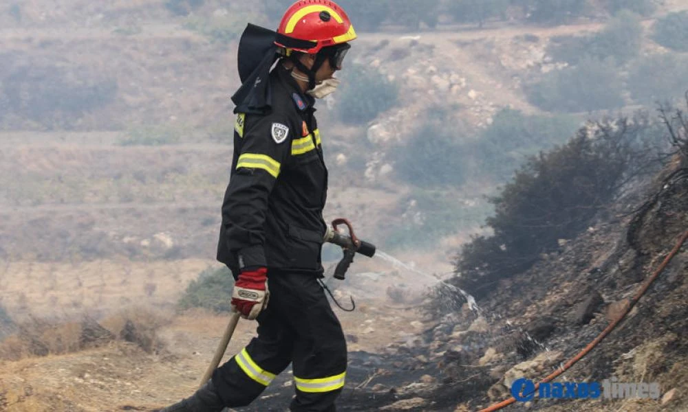 Μπήκαν στο δάσος της Κέρης στο Ηράκλειο με μπουκάλι βενζίνης- Τους "τσάκωσαν" εθελοντές